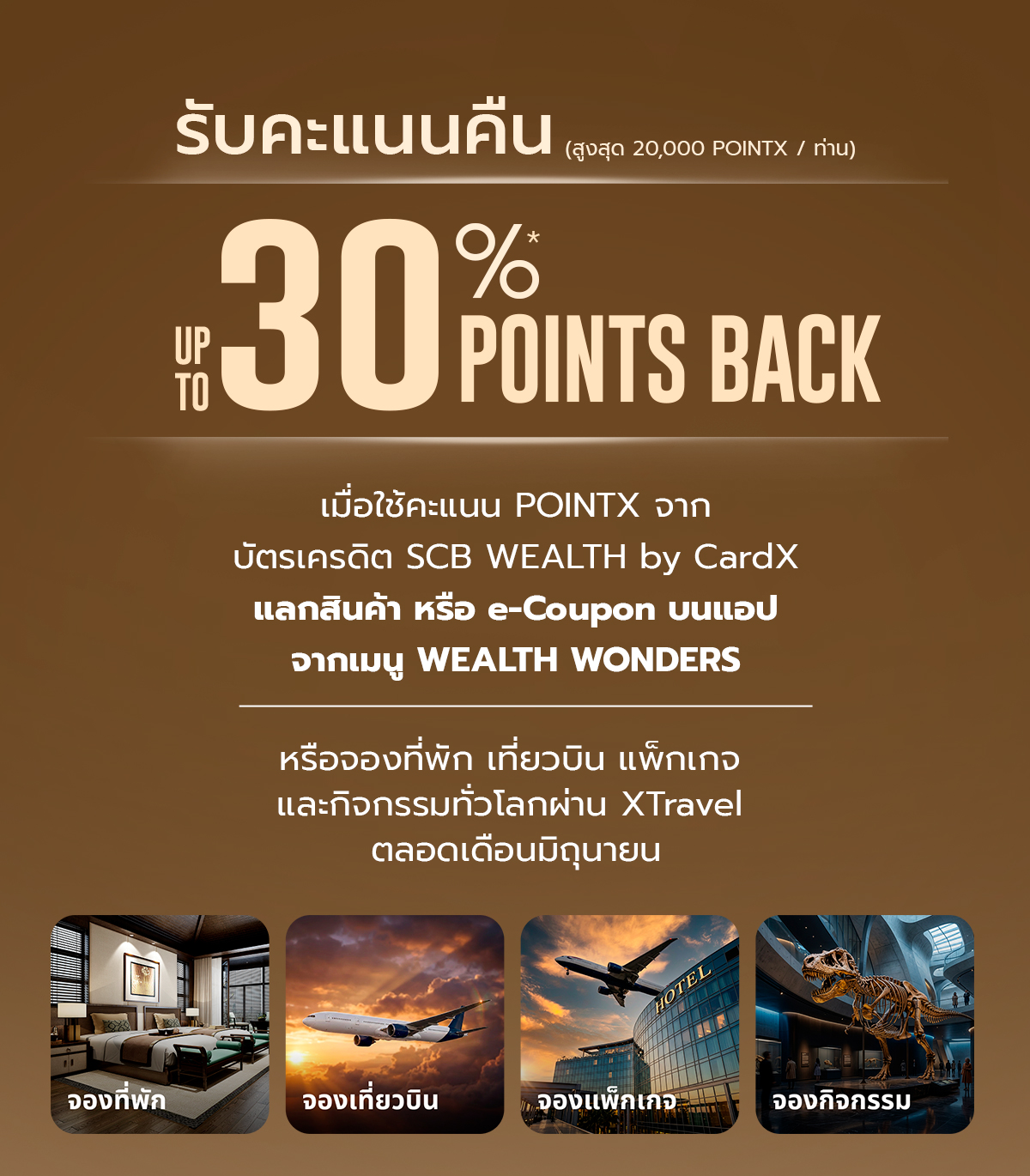 Wealth Wonders3 POINTX 30% points back